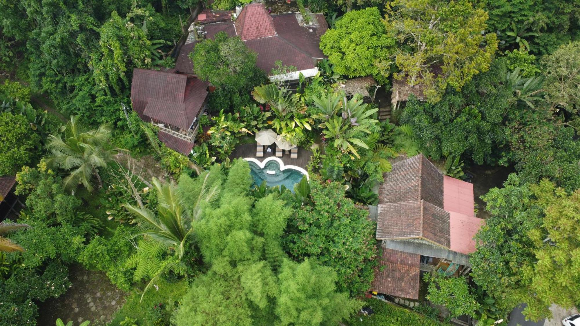 Umah Tis Sebatu Villa Tegallalang  Ngoại thất bức ảnh