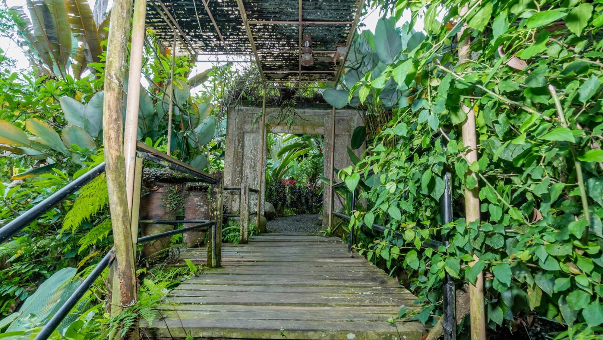Umah Tis Sebatu Villa Tegallalang  Ngoại thất bức ảnh